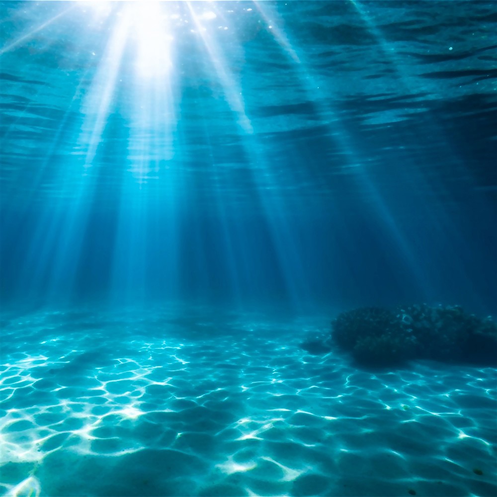 VitaJuwel ViA "Enchanted: Mystical Mermaid", Oro de 24 quilates | Marco Schreier