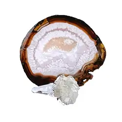 1000103513 Agate coaster with Rock Crystal cork  | Schreier gems, healing stones & jewelry