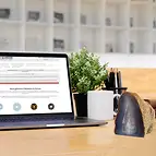 https://cdn.marcoschreier.com/content/productimages/1000105062_d2.jpg