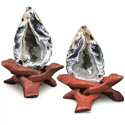 1000106002 Glücksgeoden-Paar mit Cobra-Ständer, 5cm | GH Edelsteine, Heilsteine & Schmuck