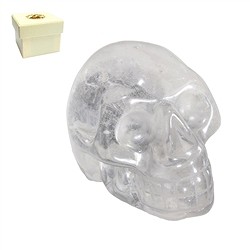1003500796 Cr&#xE2;ne de Cristal de roche, 05cm, dans une bo&#xEE;te cadeau | Marco Schreier
