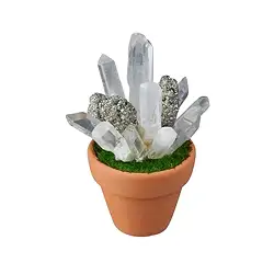 10035030001 Kristall-Blumentopf Bergkristall und Pyrit, 10cm | Marco Schreier