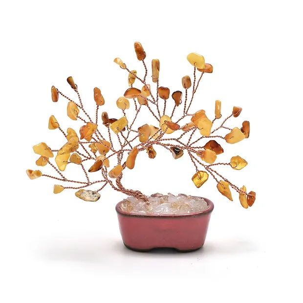 Ámbar del árbol del dinero con maceta ovalada, 9,0 cm | Marco Schreier