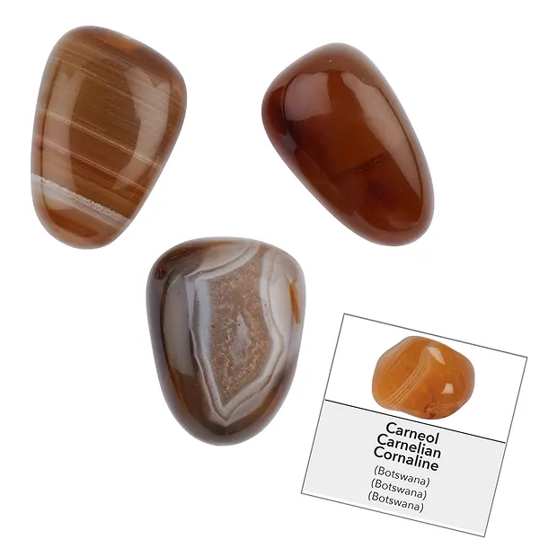 Confezione di ricarica in corniola (24 pz./UC) | Marco Schreier