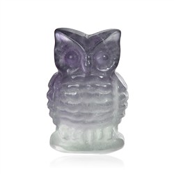 1007203758 Engraved bird (owl), fluorite, 4.0 cm | wholesale gems, healing stones & jewelry