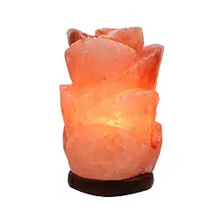 1008405106 Salt lamp "Flower" with wooden base, 18cm / 2.9kg | Marco Schreier