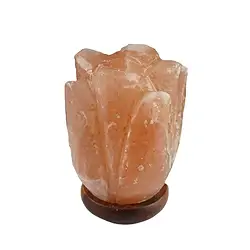 1008405133 Lampe de sel avec socle en bois "Fleur", basse, 17cm | Marco Schreier