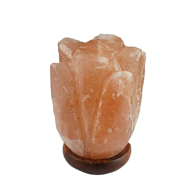 Salt lamp "Flower", 17cm | wholesaler - gems, precious & healing stones, jewelry