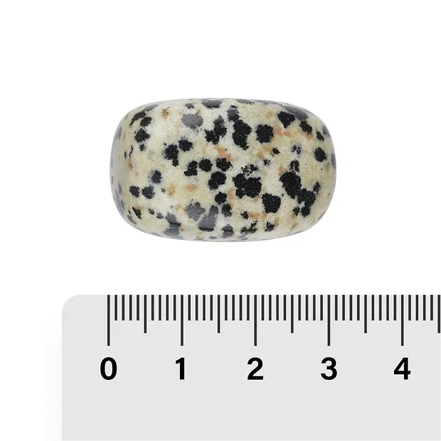 Paquete de piedras rodadas y pegatinas Piedra dálmata (24 piezas/VE) | Marco Schreier