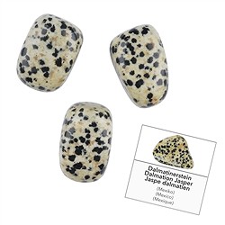 1009240061 Refill pack of Tumbled Stones and stickers Dalmatian Stone (24 pcs./ PU) | Marco Schreier