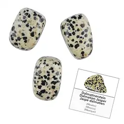 1009240061 Refill pack of Tumbled Stones and stickers Dalmatian Stone (24 pcs./ PU) | Marco Schreier
