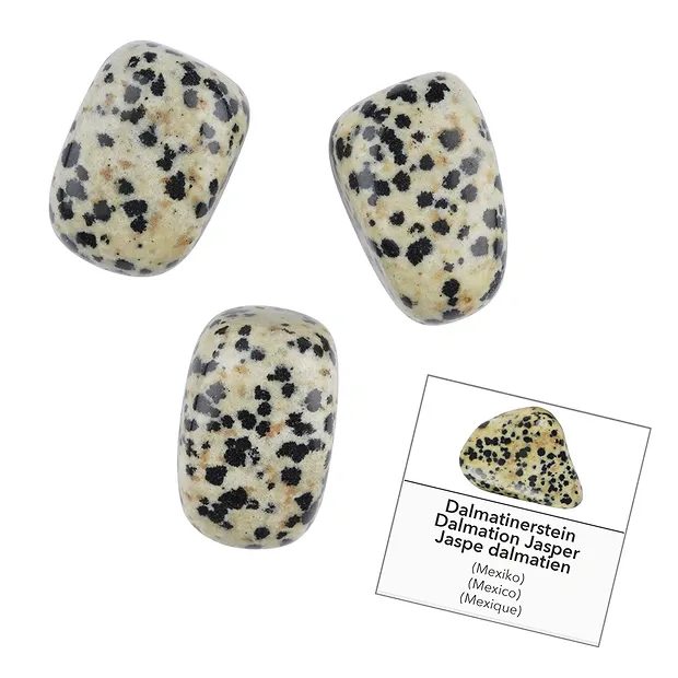 Recharge Pierres roulées et autocollants Jaspe dalmatien (24 pcs/UC) | Marco Schreier