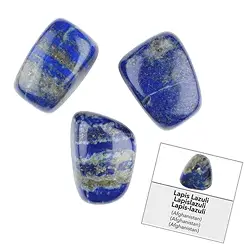 1010440061 Nachfüllpack Trommelsteine und Aufkleber Lapis Lazuli (24 St./VE) | Marco Schreier