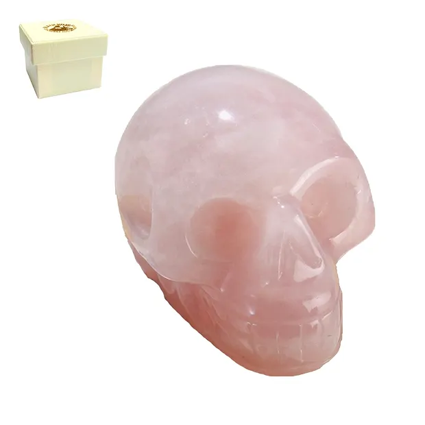 Teschio di cristallo Quarzo rosa, 05 cm, in confezione regalo | Marco Schreier