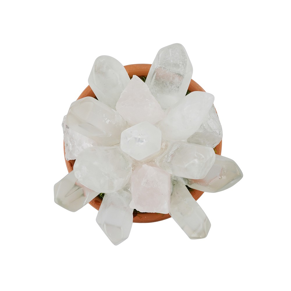 Crystal flower pot Rock Crystal and Rose Quartz, 8cm | Marco Schreier