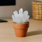 https://cdn.marcoschreier.com/content/productimages/10133030001_d2.jpg