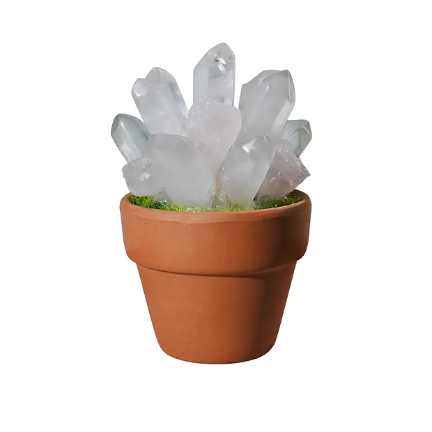 Crystal flower pot Rock Crystal and Rose Quartz, 8cm | Marco Schreier