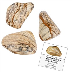 1016440061 Nachfüllpack Trommelsteine und Aufkleber Jaspis (Bilderjaspis) (24 St./VE) | Marco Schreier