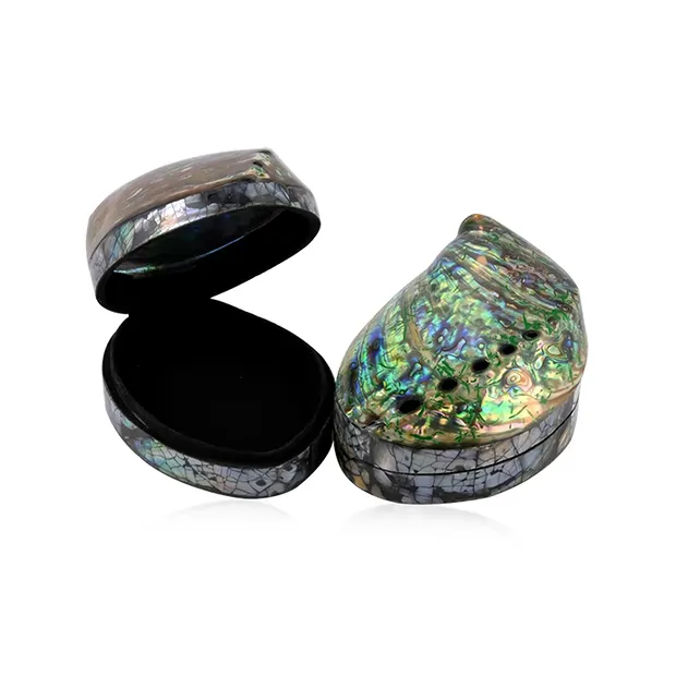 Cofre de Concha Paua, 11 x 9cm | piedras preciosas, piedras curativas y joyería