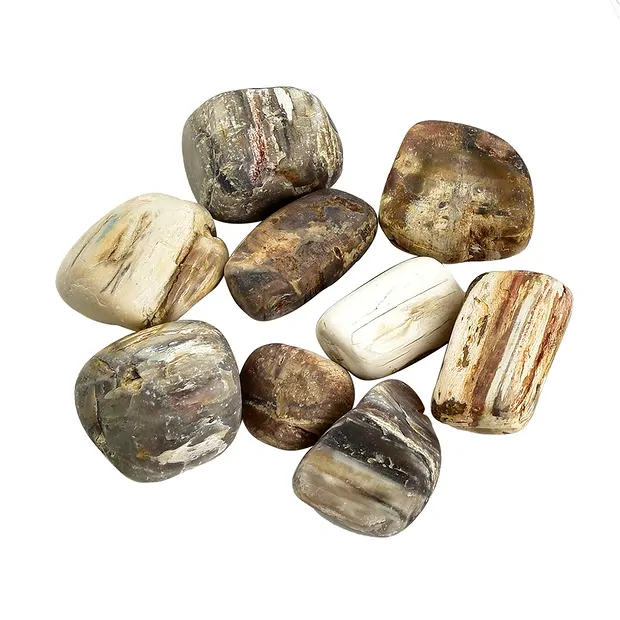 Petrified Wood Water Stones in metal gift box | wholesaler gems & healing stones