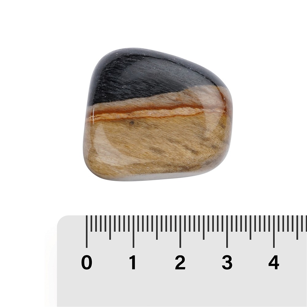 Nachfüllpack Trommelsteine und Aufkleber Versteinertes Holz (24 St./VE) | Marco Schreier