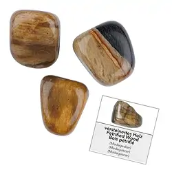 1018740061 Confezione di ricarica di pietre burattate e adesivi Foresta fossile (24 pz./confezione) | Marco Schreier