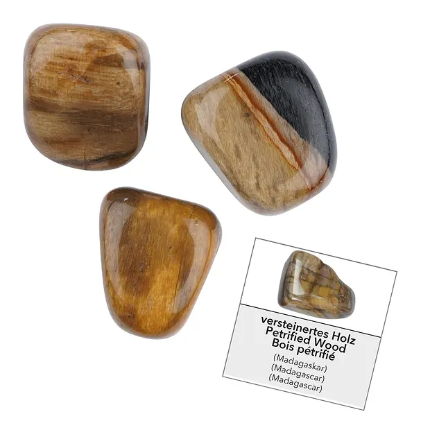 Nachfüllpack Trommelsteine und Aufkleber Versteinertes Holz (24 St./VE) | Marco Schreier