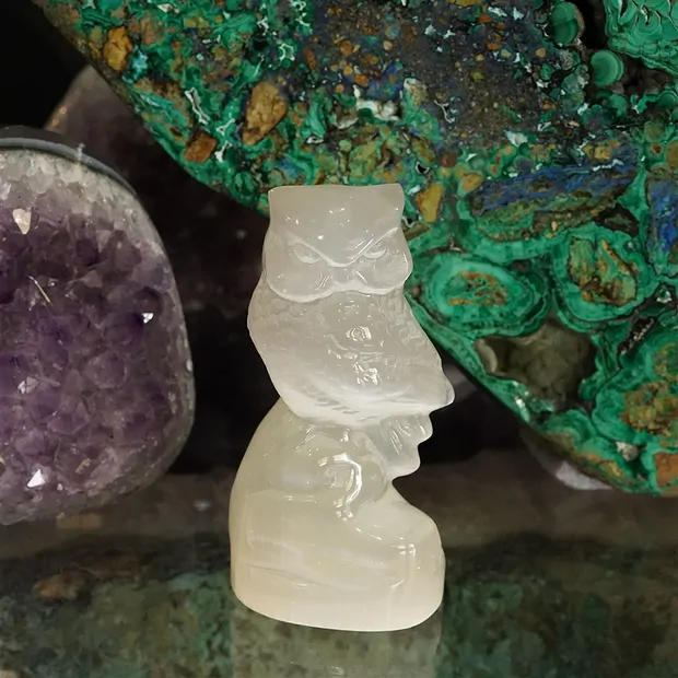 Uccello inciso (gufo su albero), selenite (bianca), 9,5 cm | Marco Schreier