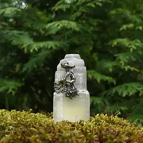 Cristallo di selenite, cercatore d'oro, 6 cm | grossista gemme e pietre curative