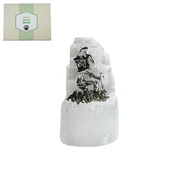 1028905503 Crystal selenite, various miners, 6cm (8 pcs./ PU) | Marco Schreier