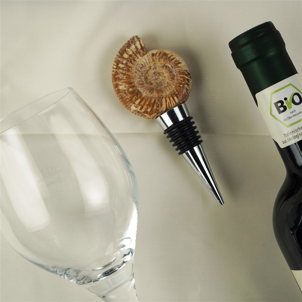 Bottle Clasp Ammonite (Perisphinctes) | wholesale gems, healing stones & jewelry