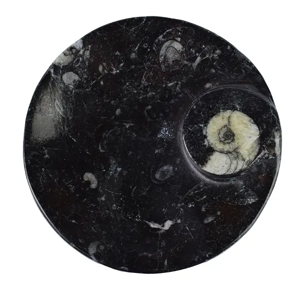 Ciotola in goniatite, rotonda, 11 cm | grossista gemme e pietre curative