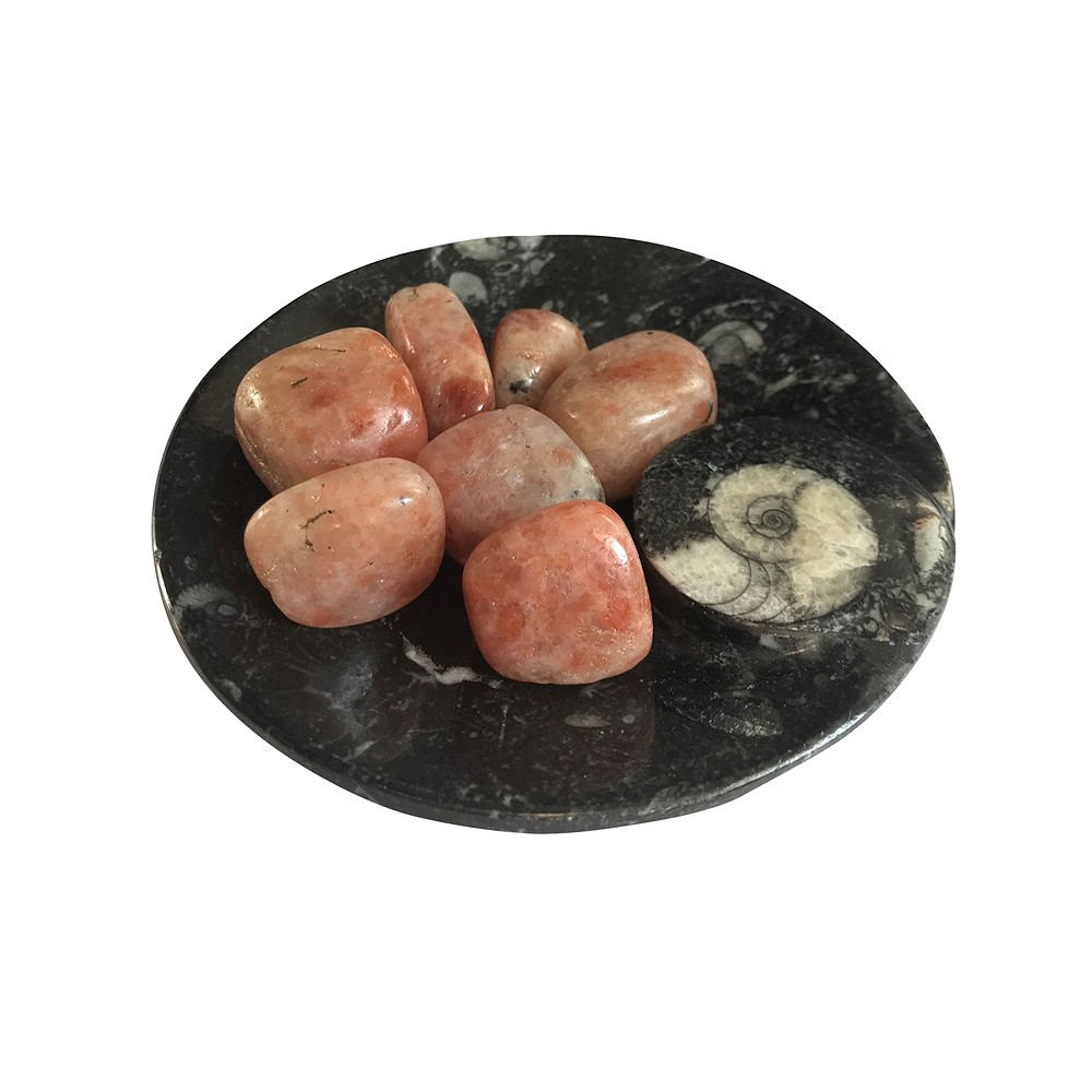 Schale Goniatit rund, 11cm | Mineralienhandlung Edelsteine, Heilsteine & Schmuck