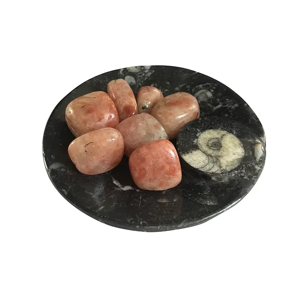 Schale Goniatit rund, 11cm | Mineralienhandlung Edelsteine, Heilsteine & Schmuck