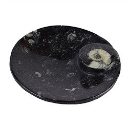 1030003501 Coupe Goniatit ronde, 11cm | Pierres précieuses, pierres thérapeutiques & bijoux