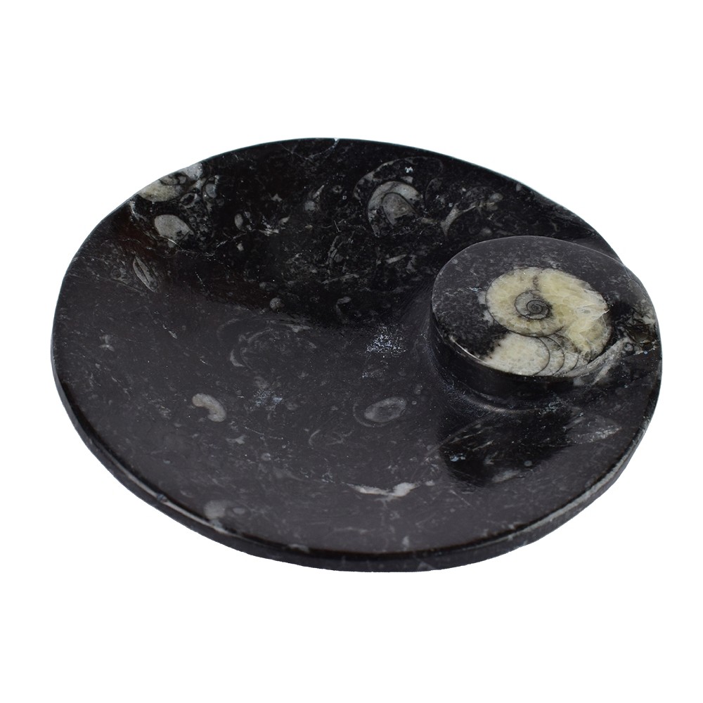 Schale Goniatit rund, 11cm | Mineralienhandlung Edelsteine, Heilsteine & Schmuck