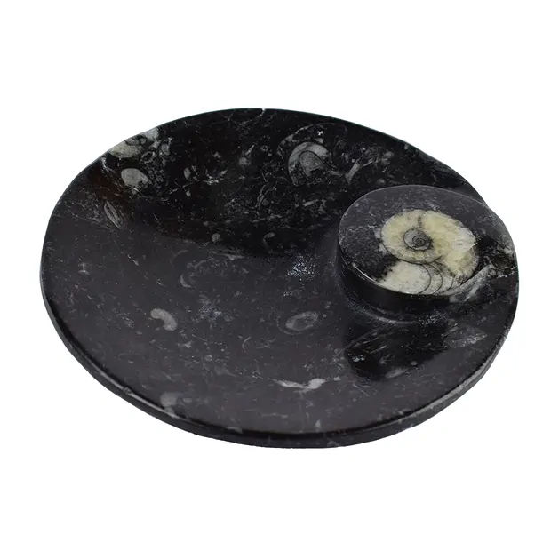 Ciotola in goniatite, rotonda, 11 cm | grossista gemme e pietre curative