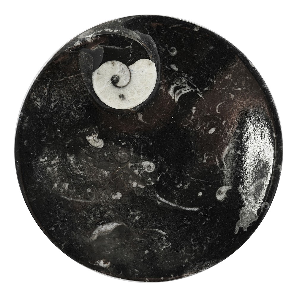 Goniatite bowl, round, 15cm | Schreier wholesale; gems, healing stones & jewelry