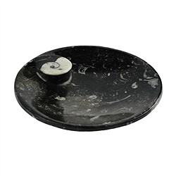 1030003503 Coupe Goniatit ronde, 15cm | Pierres précieuses, pierres thérapeutiques & bijoux