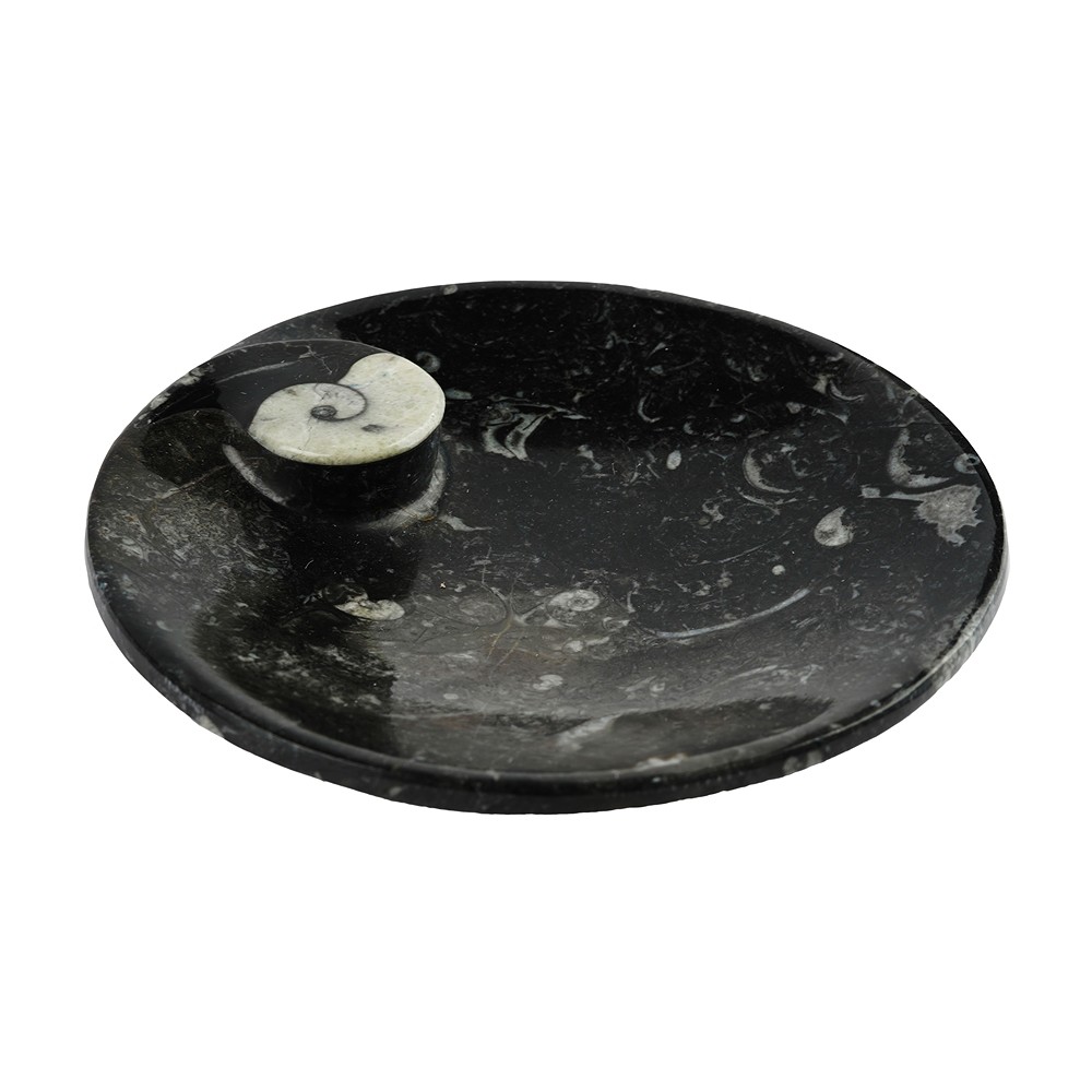 Goniatite bowl, round, 15cm | Schreier wholesale; gems, healing stones & jewelry