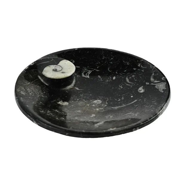 Coupe Goniatit ronde, 15cm | Pierres précieuses, pierres thérapeutiques & bijoux