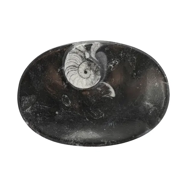 Cuenco de goniatita oval, 09cm | piedras preciosas, piedras curativas y joyería