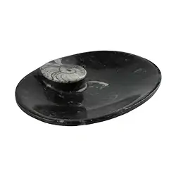 1030003504 Schale Goniatit oval, 09cm | Mineralienhandlung Edelsteine, Heilsteine & Schmuck