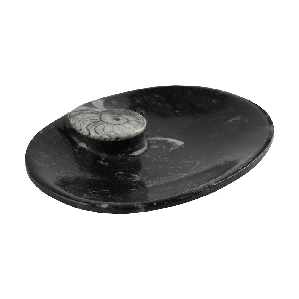 Goniatite bowl oval, 09cm | Schreier - wholesaler gems, healing stones & jewelry