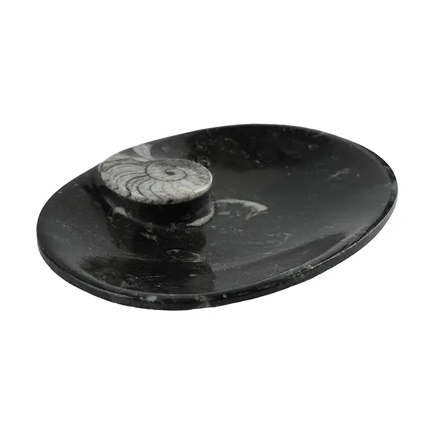 Cuenco de goniatita oval, 09cm | piedras preciosas, piedras curativas y joyería