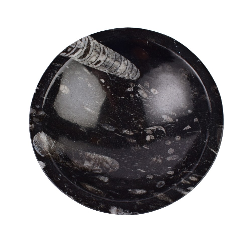 Orthoceras bowl, round, 12cm | wholesale supplier gems, healing stones & jewelry