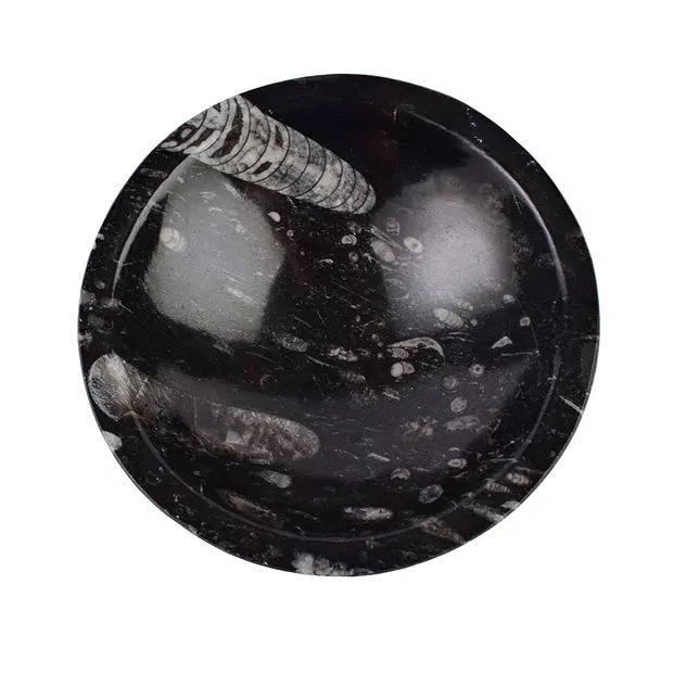 Bol Orthoceras rond, 12cm | Pierres précieuses, pierres thérapeutiques & bijoux