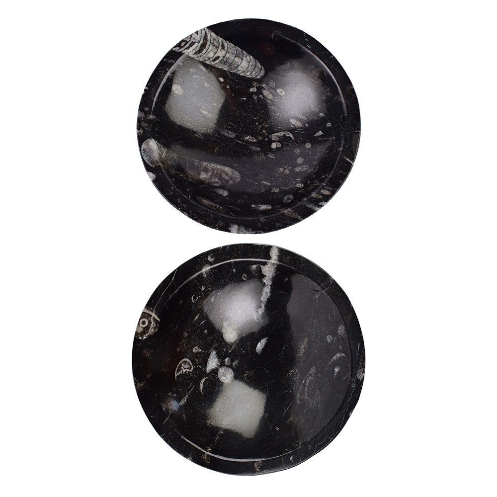 Orthoceras bowl, round, 12cm | wholesale supplier gems, healing stones & jewelry