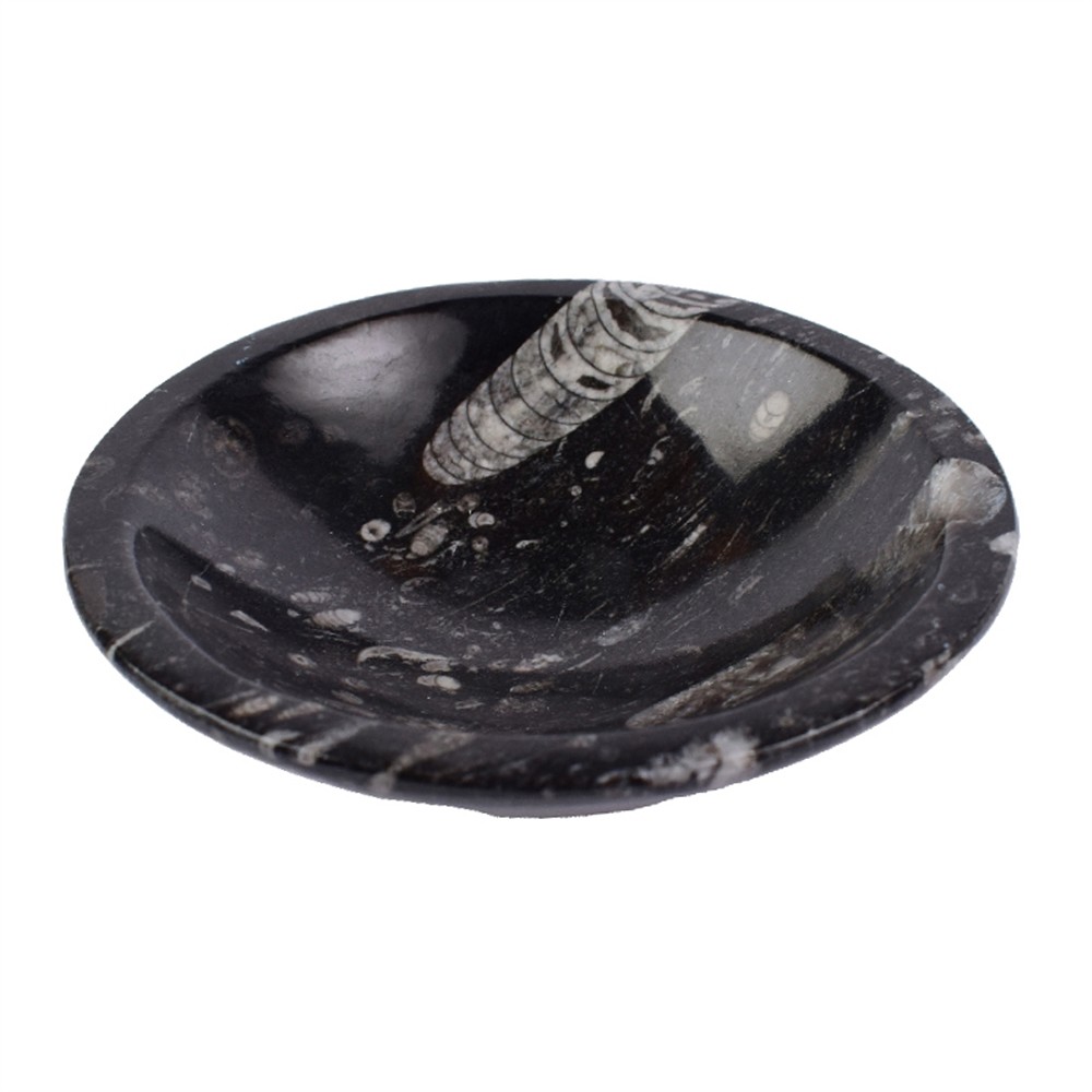 Orthoceras bowl, round, 12cm | wholesale supplier gems, healing stones & jewelry