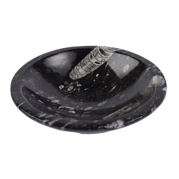 Bol Orthoceras rond, 12cm | Pierres précieuses, pierres thérapeutiques & bijoux
